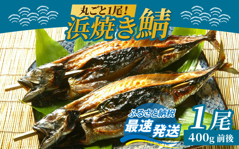 
            浜焼き鯖 400g  1尾 【配送不可地域：離島】 小浜市 / 朽木屋 [BFCM004] 
          