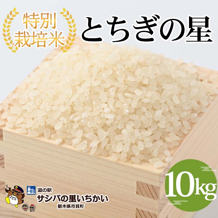 【ふるさと納税】特別栽培米　精米〈とちぎの星〉10kg ※離島への配送不可 | 国産 栃木県産 とちぎの星 米 お米 特別栽培米 精米 白米 栃木米 とちぎ米 米の食味ランキング特A評価 産地直送 送料無料 ※2025年9月中旬頃より順次発送予定