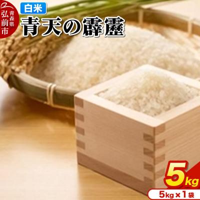ふるさと納税 弘前市 米 青天の霹靂 白米 5kg 青森県弘前市産|24_mft-060501