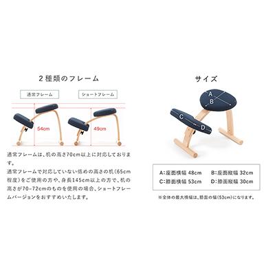 ふるさと納税 美濃市 バランスイージー ショート[レッド]+イージーライティングボードM【複数個口で配送】 |  | 02