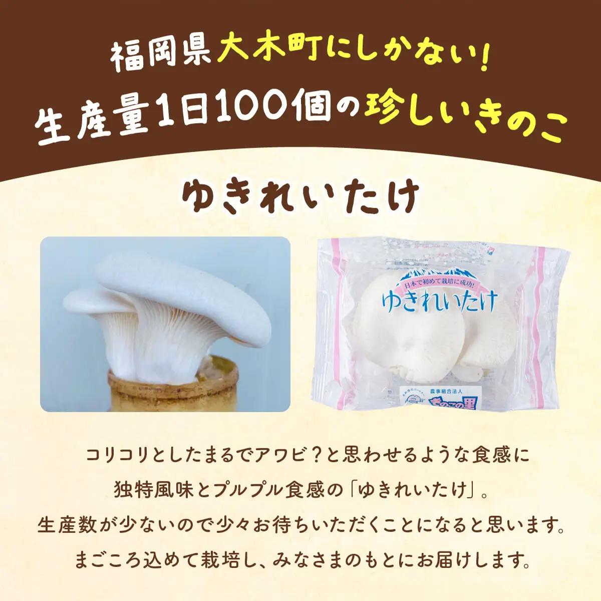 珍しいきのこ ゆきれいたけ5パック　AT19