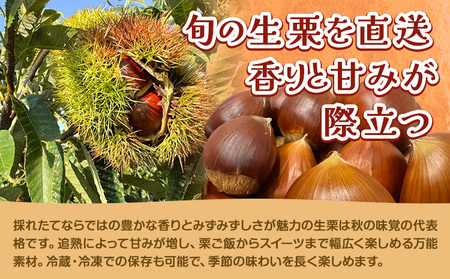 冷凍むき栗 200g とくちゃん農園 菊池市産