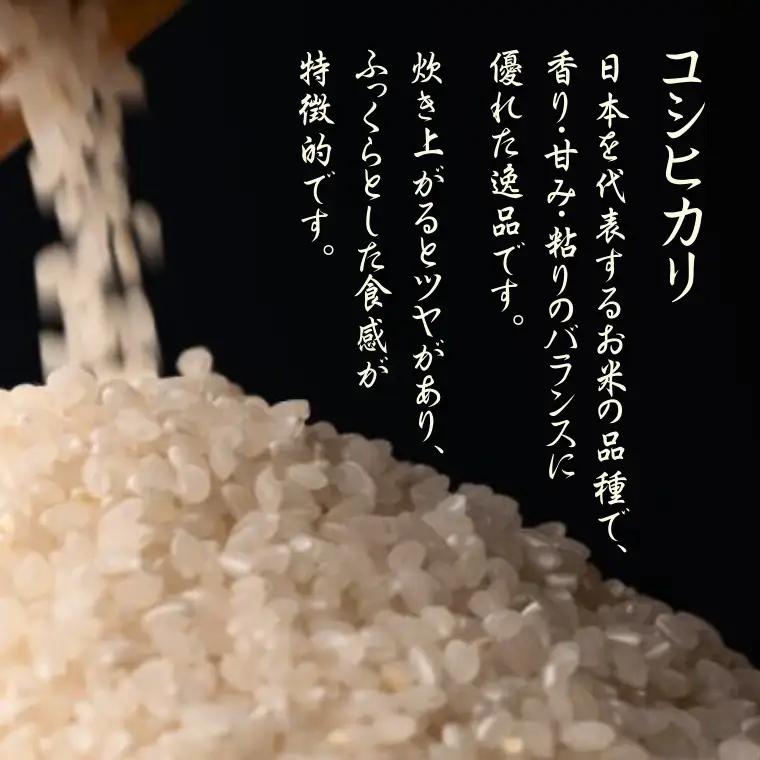 【令和８年産】先行予約受付中！水野農園の加須市北川辺産　コシヒカリ　10㎏　《選べる！精米or玄米》｜お米　米　令和８年　こしひかり　新米