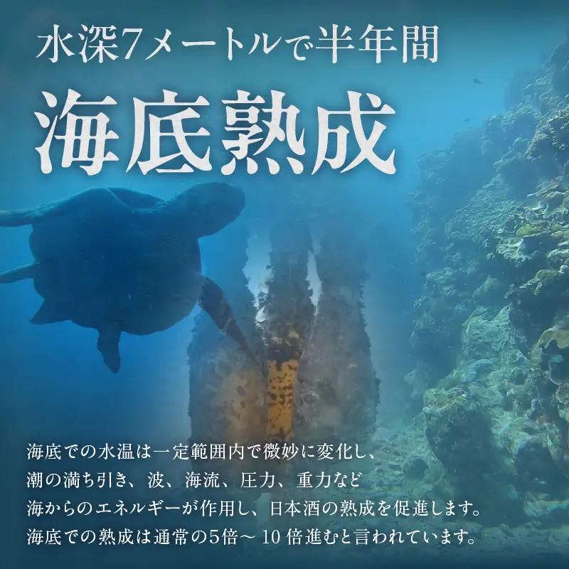 【テレビで紹介！】伊勢湾竜宮熟成酒「たまてばこ」【関谷醸造】│日本酒 酒 常滑市