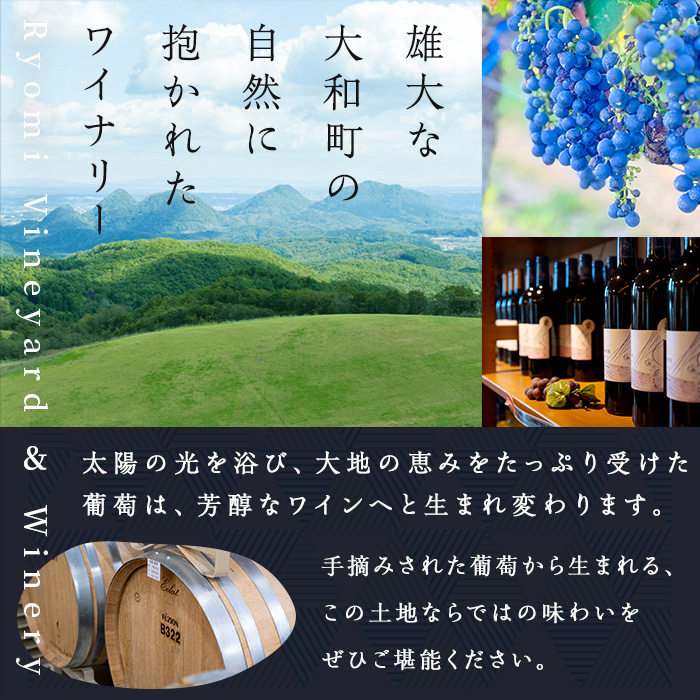 自社葡萄を使用した赤ワイン メルロー 750ml×1本 ラセリー了 ミディアムボディ ぶどう ブドウ アルコール ギフト 宮城県産 みらいファームやまと 【了美ワイナリー】ta466