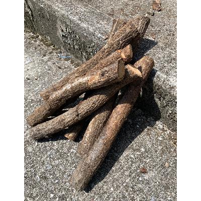 ふるさと納税 添田町 藤川椎茸園のくぬぎ　薪用　コボタ約50cm未満　約25kg【添田産】