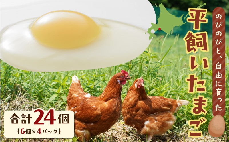 
                  平飼いたまご　T074-001
                