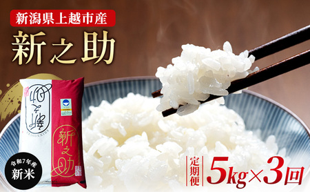 （定期便）新米 令和7年 新潟県 上越市産 新之助 5kg×3回配送 ご飯 おにぎり 送料無料