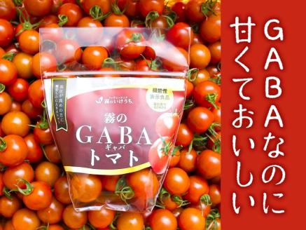 【霧のトマト】 霧で育てたおいしさ抜群の味＋機能性表示食品GABA ミニトマト300ｇ×12パック　27-6