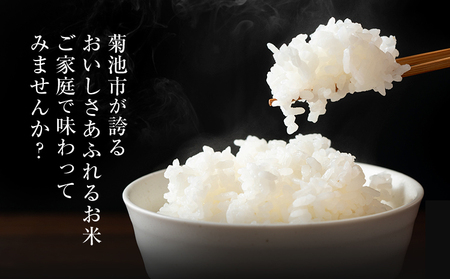 【3ヶ月定期便】熊本県産 肥後米 無洗米 白米 10kg 1袋5kg 米 お米 令和7年産 九州産 熊本県産 ブレンド米 送料無料《お申込み翌月に出荷予定》 無洗米 白米 米