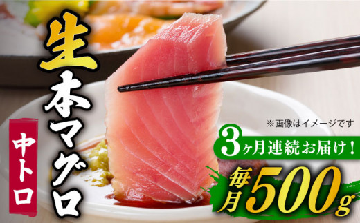 【全3回定期便】【ながさき水産業大賞受賞！！】 五島列島産 養殖 生本かみまぐろ 中トロ ブロック 500g【カミティバリュー】 [RBP064]