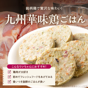 1cofood 手作りドッグフード 九州華味鶏ごはん 400g×4袋 〔Pf023〕