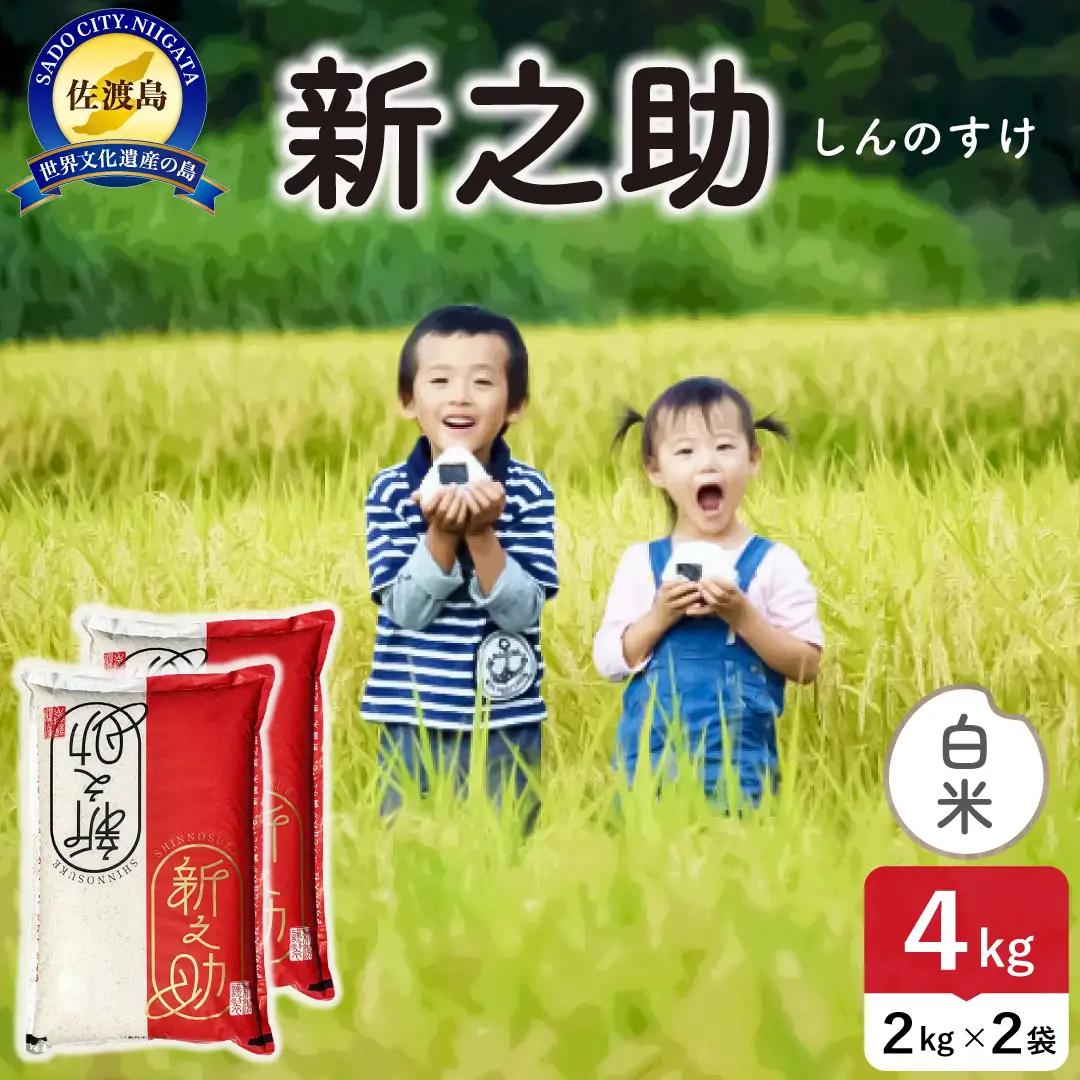 令和8年産 佐渡島産 新之助 白米4kg