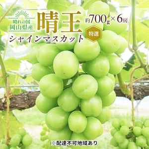 シャインマスカット 晴王 特選 岡山県産 シャインマスカット【6房 1房約700g】【先行予約】