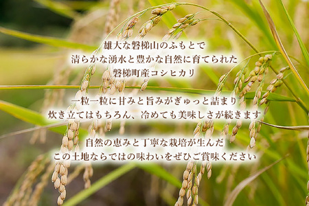 【先行予約・限定】【令和7年産米】コシヒカリ5kg　磐梯町の名水で育ったコシヒカリ　11月中旬発送