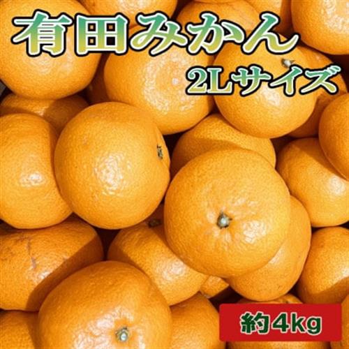 [秀品]和歌山有田みかん約4kg(2Lサイズ)「2026年11月中旬より順次発送」(日高町)【1297148】