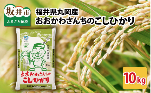 おおかわさんちのこしひかり 10kg 【令和7年産】 コシヒカリ こしひかり 白米 米 お米 kome 10キロ 精米 ブランド米 ごはん ご飯 おいしい 人気 産地直送 国産 [B-10802]