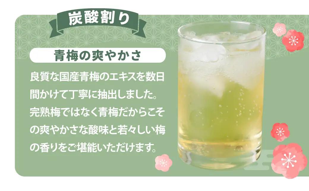 梅 シロップ 国産 梅のしろっぷ 2本セット