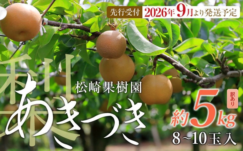 
                  【訳あり梨 2026年発送／先行予約】訳あり「あきづき」約5kg（8～10玉入）【松崎果樹園】｜訳あり 梨 ナシ こだわりの梨 フルーツ 果物 旬の梨 宮城県角田市 約5kg
                