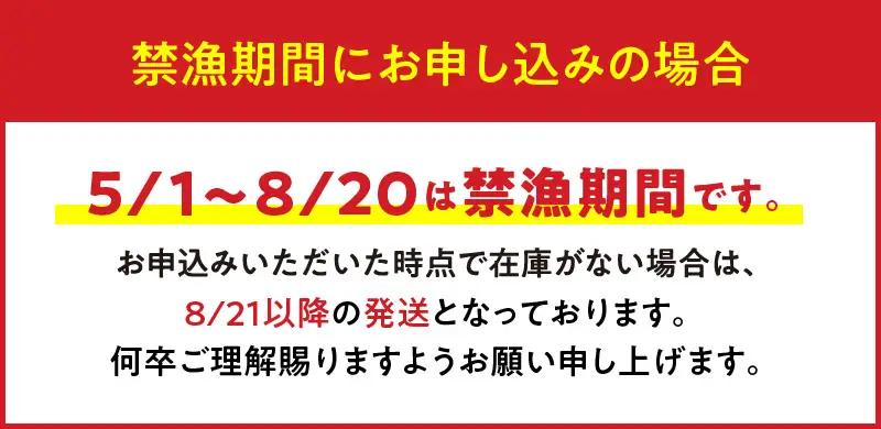 【漁師直送】 活き〆 冷凍 天然伊勢海老 300g（1尾） W005-004u 海老 エビ 海鮮 魚介