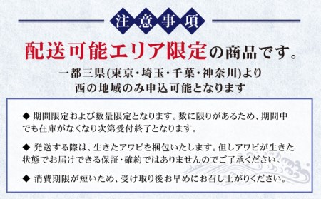 【到着日・受取時間指定必須】【配送エリア限定】【数量限定商品！】五島産養殖活きアワビ 1個あたり約100g前後 中サイズ3個 あわび 鮑 五島市/（有）都工業 [PEX001]
