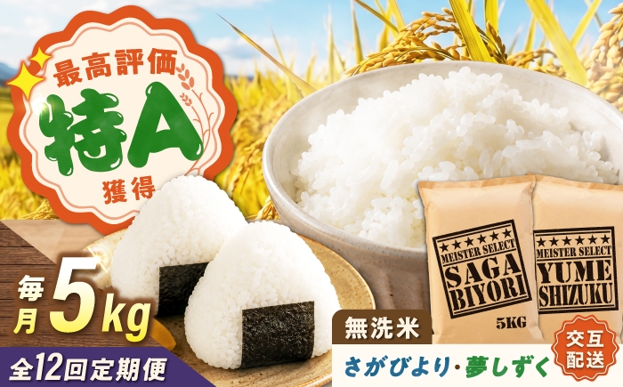 
                  【12回定期便】 無洗米 毎月 5kg （さがびより・夢しずく交互お届け） 無洗米 お米 白米 精米 佐賀県産 米 /大塚米穀店 [UFE022]
                