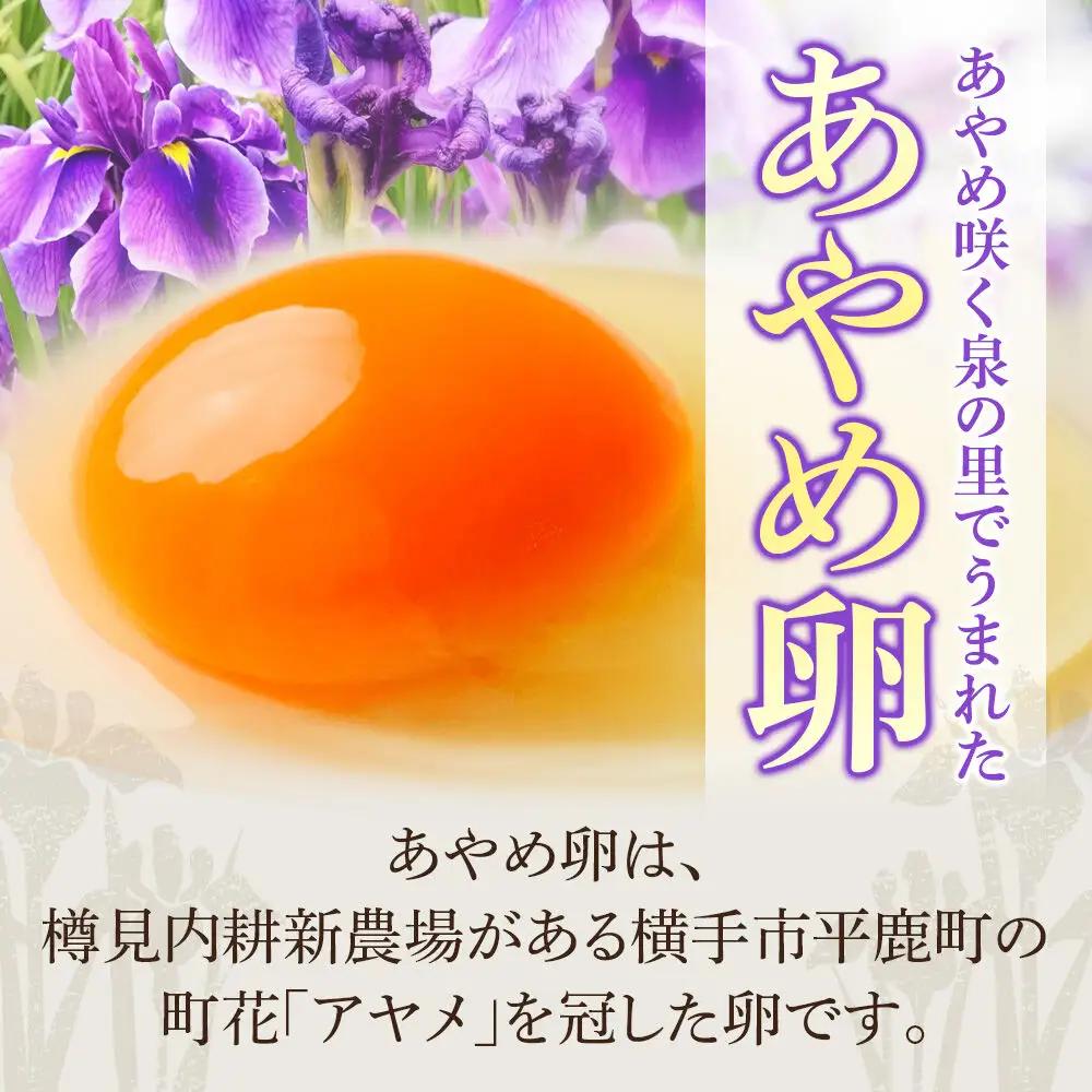 あやめ卵 80個入 【農場HACCP認証】 【JGAP認証】