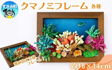 クマノミ各種　フレーム / 魚 さかな フィッシュ 釣り 海 うみ クマノミ 海水魚 海の生き物 鍵 かぎ 家 車 自転車 かわいい お土産 雑貨 思い出 プレゼント ギフト すさみ 【mac007】 