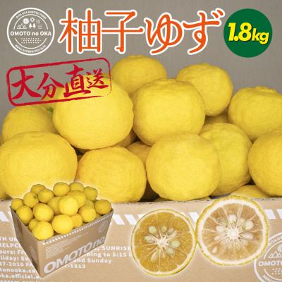 ふるさと納税 宇佐市 おもとの丘の柚子 1.8kg【111300601】【未来農林】