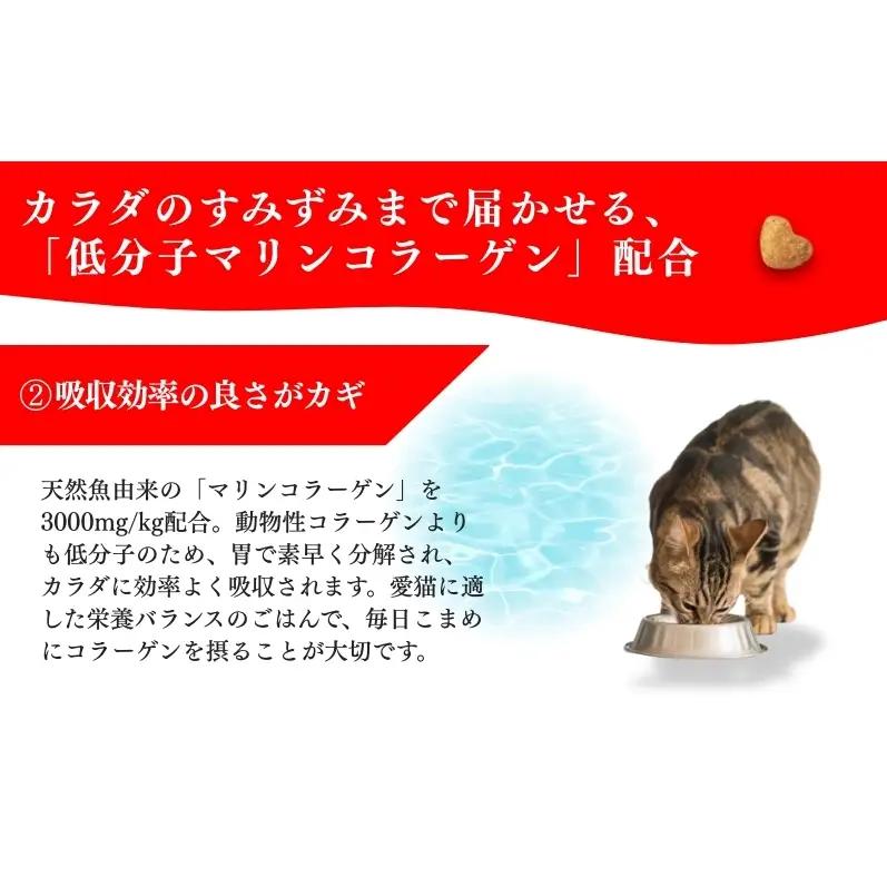 日本ペットフード ビューティープロ キャット 下部尿路の健康維持 低脂肪 1歳から 1.4kg（280g×5袋入）×8袋（ケース） キャットフード