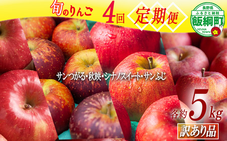 旬のりんご 【 定期便 】 訳あり 4.5kg～5kg × 4回 松橋りんご園 沖縄県への配送不可 2026年9月上旬頃から2026年12月下旬頃まで順次発送予定 令和8年度収穫分 フルーツ リンゴ 信州 長野県 飯綱町 [1840]