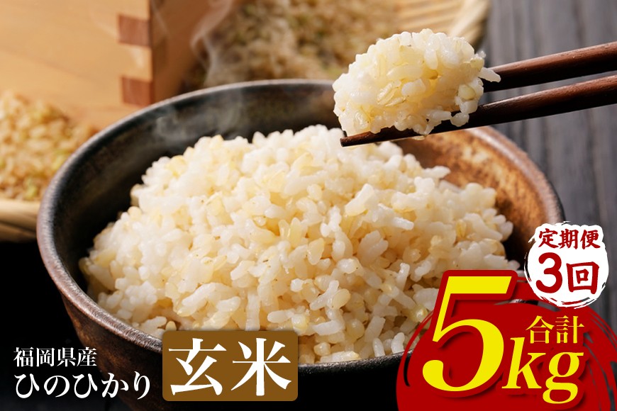 
                  【3回定期便】ひのひかり 米 お米  玄米  5kg  5キロ 福岡県産 うきは市 国産 精米 ご飯 ごはん おにぎり お弁当 人気 おすすめ 家庭用 送料無料 令和7年度産 ストック 厳選 農家直送 大容量【JA福岡くるめ にじの耳納の里】
                