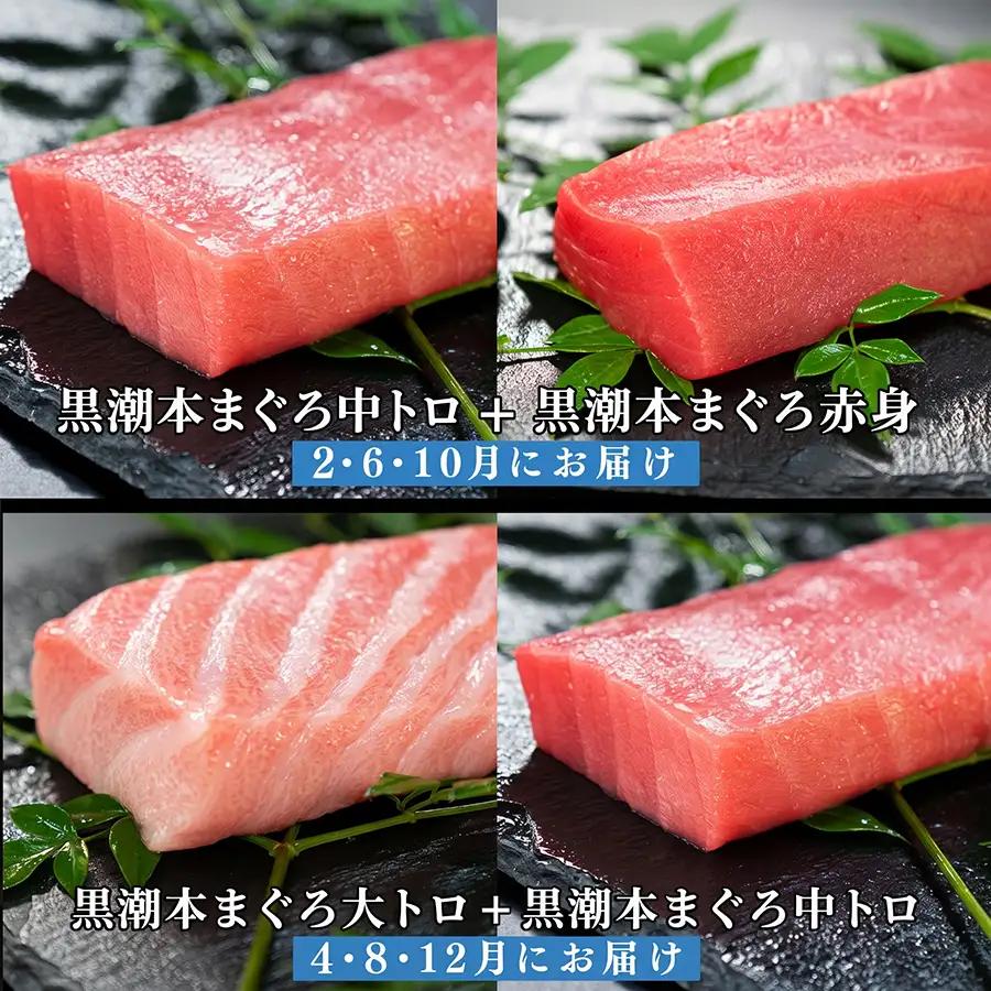 訳あり 不定貫 定期便6回 日本一!黒潮本まぐろ 大トロ・中トロ・赤身（交互） (PT0080_0536)