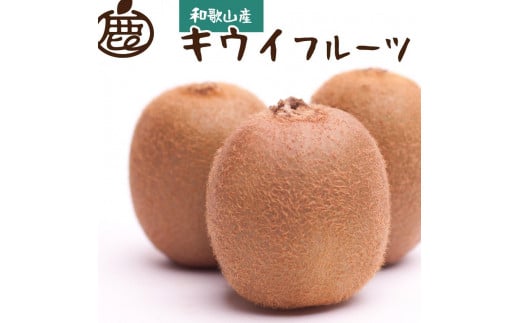 
            ［先行予約］厳選 キウイ0.5kg+250g（傷み補償分）［扁平果］
          