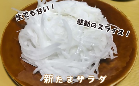 子どもたちが丸ごと食べれる♪春の新たまねぎ10kg　◆配送３月～