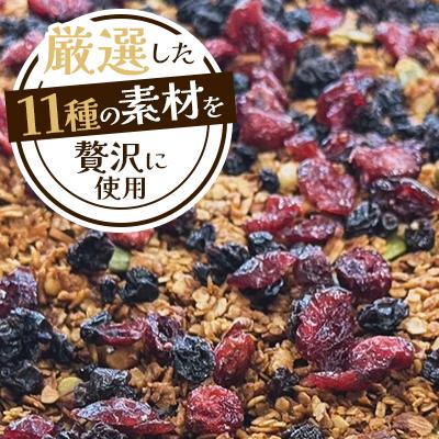 ふるさと納税 江別市 【北海道江別市】キタイチゴ農園　オリジナルグラノーラ3袋セット |  | 01