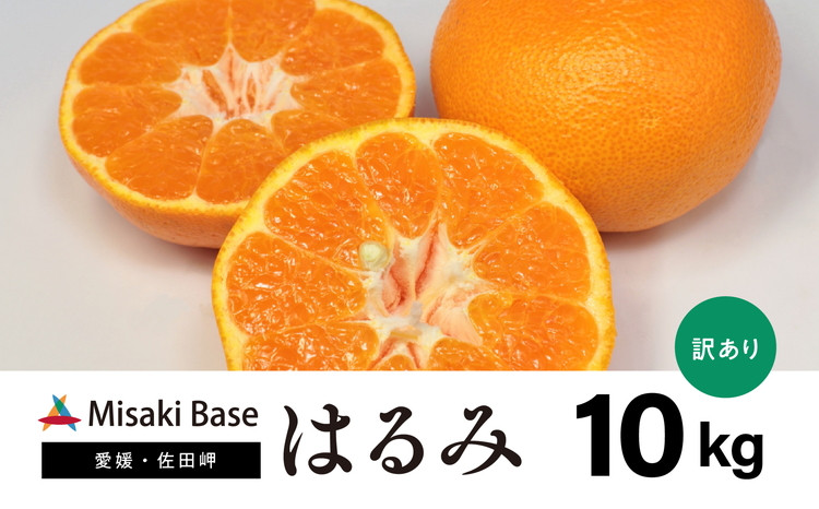 
【先行受付】【数量限定】【山採り無選別】はるみ 10kg | みかん 柑橘 ミカン 蜜柑 mikan 果物 フルーツ 糖度 甘い 愛媛県 伊方町 ※2025年2月上旬～2月下旬頃に順次発送予定 ※離島への配送不可
