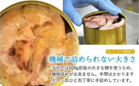 鯖味付缶詰【本醸造醤油仕立て】 48缶 (180g×48缶) / サバ缶 鯖缶 さば缶 鯖 サバ さば 缶詰 小浜市 / 福井缶詰[BFAB069]