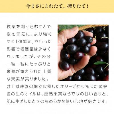 ふるさと納税 小豆島町 先行受付 【井上誠耕園】2025年度産 井上誠耕園産エッセンシャルオリーブオイル 30ml |  | 02