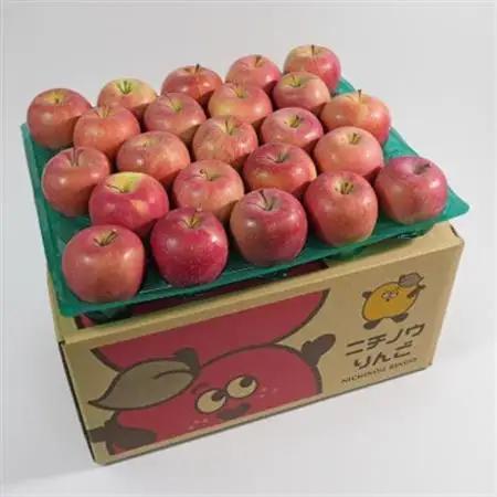 【26年11月から順次発送】平均糖度13度以上! サンふじ 約10kg 贈答 青森県産 りんご_果物・フルーツ りんご  リンゴ 林檎_【配送不可地域：沖縄県】【1611196】