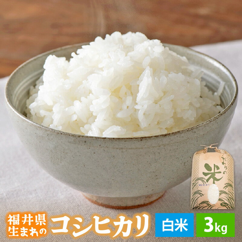 【ふるさと納税】【新米】 令和7年産 コシヒカリ 3kg 福井県産【白米】【 お米 こめ 米 コメ 精米 こしひかり 3キロ 人気品種】 [e30-a095]