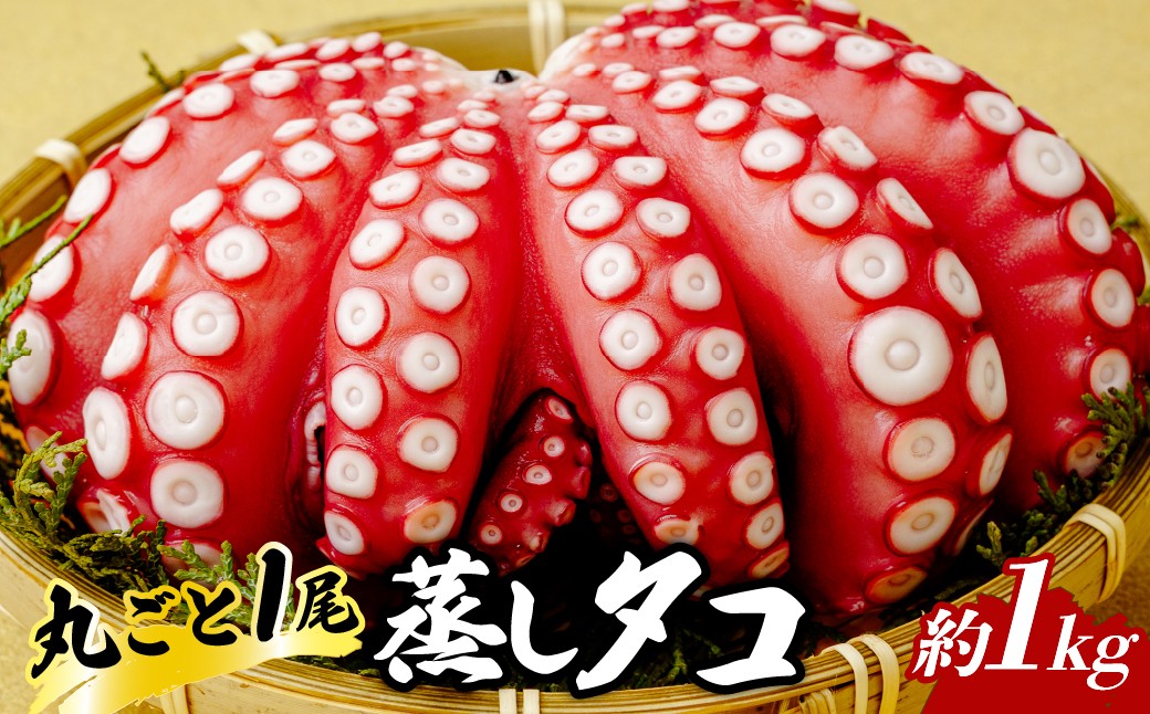 
                  浜清の蒸し蛸1入(約1kg) | 蒸し蛸 ボイルタコ タコ 1kg  海鮮 お取り寄せ 刺身用  カルパッチョ 大容量  新鮮  冷凍  下処理済み  お歳暮  贈答用 ひたちなか市 浜清水産 
                