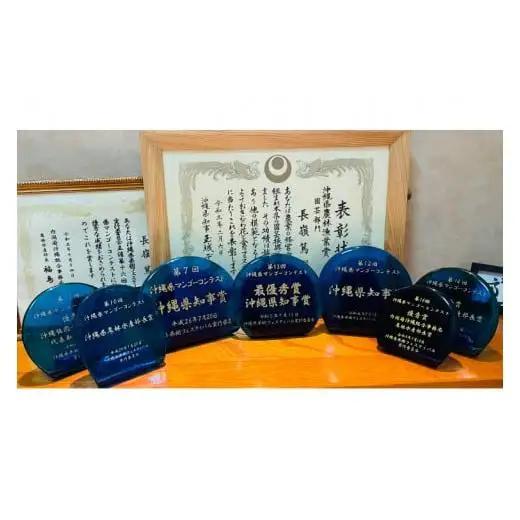 【2027年6月下旬より順次発送】★数量限定★沖縄県最優秀県知事賞に3度輝いた！★桐箱★沖縄マンゴー大玉 約1kg(約500g×2玉) (BV004)