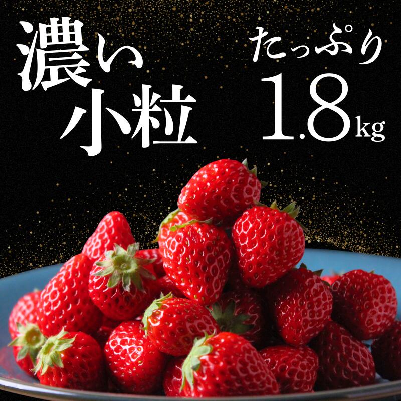 【ふるさと納税】大容量 小粒いちご いちご 果物 フルーツ 苺 イチゴ 果物 くだもの 紅ほっぺ 加工用 おすすめ 大容量 静岡県産 期間限定 strawberry 完熟 甘い おすすめ 新鮮 朝摘み 贈答 フルーツ 果物 旬 数量限定 期間限定 産地直送 伊豆 南伊豆 静岡