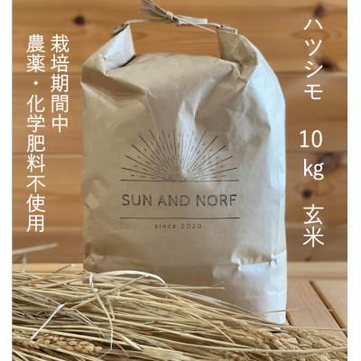 ふるさと納税 養老町 【令和7年産】初霜(源種)　玄米10kg　(栽培期間中農薬・化学肥料不使用)