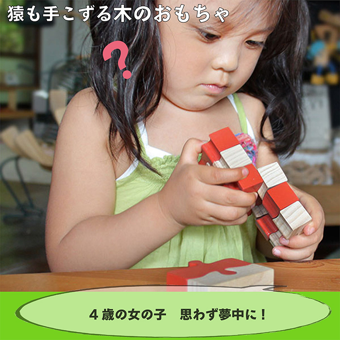 木のおもちゃ/モンキーパズル9ピース psc 知育玩具 誕生祝い 6ヶ月 7ヶ月 8ヶ月 9ヶ月 10ヶ月 1歳 1歳半 誕生日ギフト 出産祝い 男の子 女の子 木工職人手作り