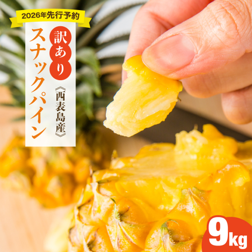 【訳あり】大きさ不揃い　お得！箱にいっぱいスナックパイン9kgセット