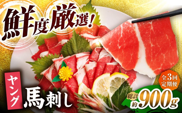 
                  【3回定期便】ヤング馬刺し 計300g（3pc）＋タレ小 馬刺し ヤング 馬刺し 馬肉 桜肉 馬 肉 便利 小分け 3パック タレ付き コリコリ 歯ごたえがある 首周りのお肉 冷凍 生食 肉食 刺身 九州 熊本県 特産品 山鹿 送料無料 【馬刺しの郷 民守】[ZBL046]
                