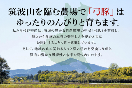 弓豚 スペアリブ セット 2kg 豚肉 和豚 銘柄豚 肉 骨付き肉 国産 高品質 希少 産地直送 ヘルシー 家庭用 ギフト 冷凍 【先行予約 2026年3月以降発送予定】 (C01-007)