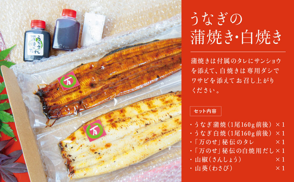 鹿児島県産 鰻 蒲焼・白焼セット［2種］うなぎ専門店「万のせ」加工品 詰め合わせ 詰合わ ギフト 贈答 贈り物 手土産 御祝 お祝い 鹿児島うなぎ 鰻 ウナギ スタミナ 土用の丑の日 蒲焼き 白焼き 